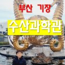 보광수산센터 네이버블로그