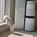 찰스앤에디 이미지