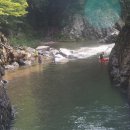 죽장고 앞 이미지