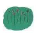 푸른꿈고등학교 이미지