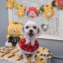 몽스파 이미지