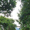 솔밭개울 이미지