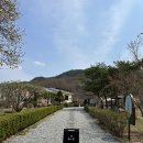 카페유나 | 내돈내산 충주 외곽카페 북카페 주택개조 카페 &lt;유나의 정원&gt; 방문 후기