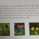풀꽃이야기 이미지