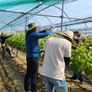 기술보급과 이미지