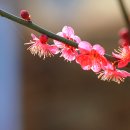 자연과 나 이미지