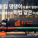 냥이의꿈 | 까칠냥이도 꿀잠 잔 날, 통인 익스프레스 VIP 이사 후기