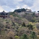 제천관광(주) Daum카페