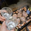 동은전기테크 | [부여 글램핑판]팜앤팜치유정원, 부여 글램핑판 에르메스동 짧은 후기