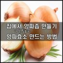 ◑ 집에서 양파즙 만들기, 양파효소 만드는 방법 ◑ 이미지