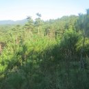 거마천로 이미지