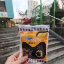 대전봉명초교 이미지