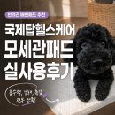 봄헬스케어㈜ | [국제모세관패드 대학생 서포터즈] 강아지 배변패드 추천! 국제탑헬스케어 모세관패드 실사용후기