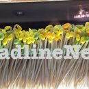 2022년 4월 19일 화요일 HeadlineNews 이미지