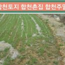 (합천부동산) 계곡물철철 합천땅 206평 1500만 합천토지 (창녕부동산) 합천촌집 이미지