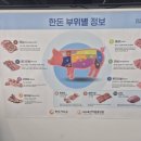 충서로 | 🥩홍성정육점 홍성한우 홍성시장한우 홍성캠핑고기 홍성명절선물세트 오서고깃간 방문후기✨