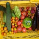 진들농장 이미지