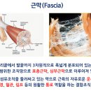 늘바른체형센터