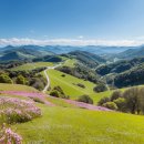 방아머리로 이미지