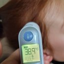 동명어린이공원 이미지