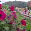 적성전통시장(버스 정류장) 이미지