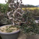 창암농장 이미지