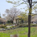 연꽃어린이집 이미지