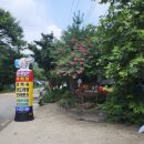홈플러스 두암점 | 장성 남창계곡 퍼스트농원 백숙 맛집