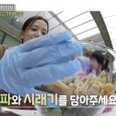 시래농산물 | 맛남의광장 42회 BGM 노래 배경음악 양구편 후기시래기 레시피 블랙핑크 지수 게스트
