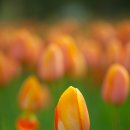 중산공원 이미지