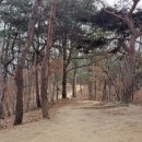 아름도담길 이미지