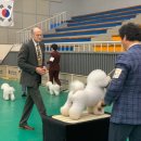 위드퍼피숑 이미지