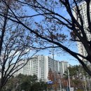 포시즌시스템 | 창원 생일꽃다발 추천｜전통이 느껴지는 포시즌플라워 방문 후기