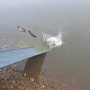 공북낚시터 이미지