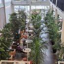 씨유 포항용흥죽림점 | 2024년 11월 15일 경상도 신상 맛집 / 카페 공개 (124개소)