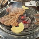 배박사 동물병원 이미지