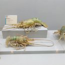 부산해양자연사박물관 이미지