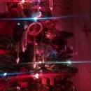 인영자동차공업(주) 이미지