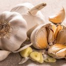 펀멀티짐 이미지