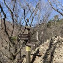 해오름산장 | *등산 초보가 쉴 거 다 쉬면서 가는 [가지산]최단코스/총소요시간/주차장/식당