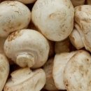 보령농장 이미지