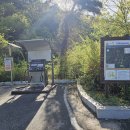 원주굽이길 17코스 동화마을진달래길 이미지