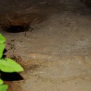 신길역사유적공원 이미지