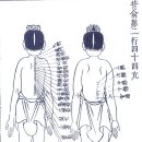 背 등허리 어깨 경혈 54난 장부치료 *50주행시 혈 순간통과 이해 이미지