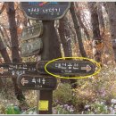대천공원 - 북구 읍내동 | 대천공원