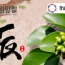 농업회사법인휴림황칠 (주)