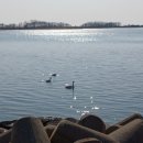 부산 사하우체국 이미지