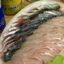 회 달인 | 제주도 서귀포 달인수산에서 고등어회 내돈내산으로 먹어본 후기!