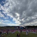 천하 태권도 이미지