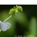 전통공예연구소 이미지